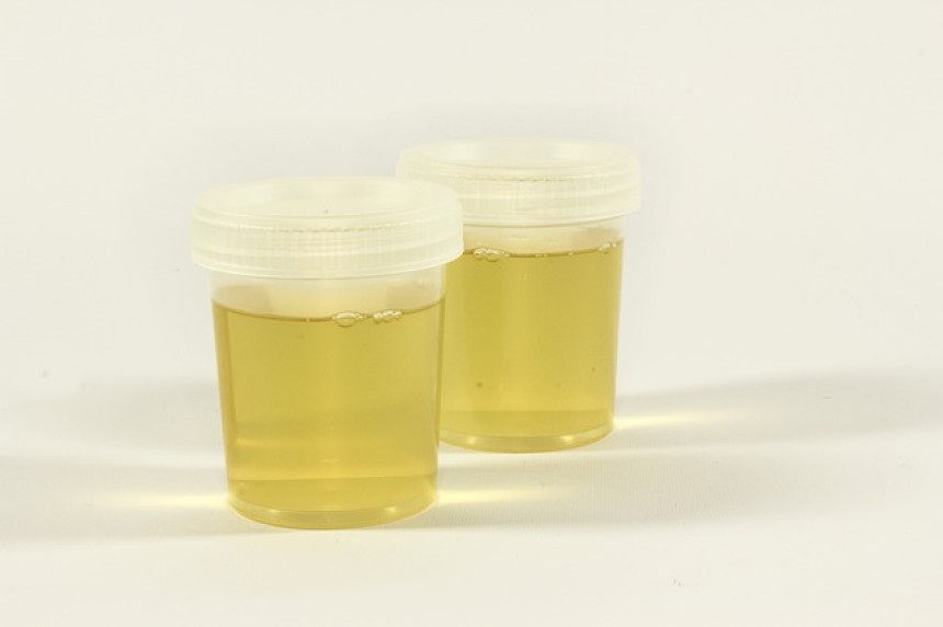 13 Court Briefs:  man fakes a urine test