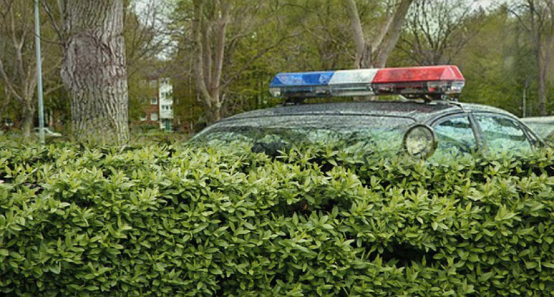 The old "hiding behind a hedge" trick