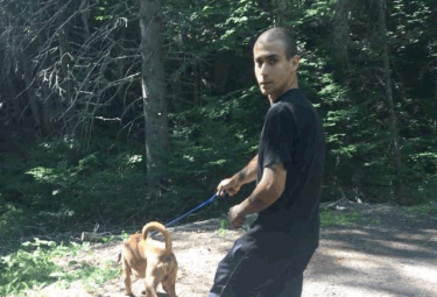 Man on run hides under shed on French Fort Road