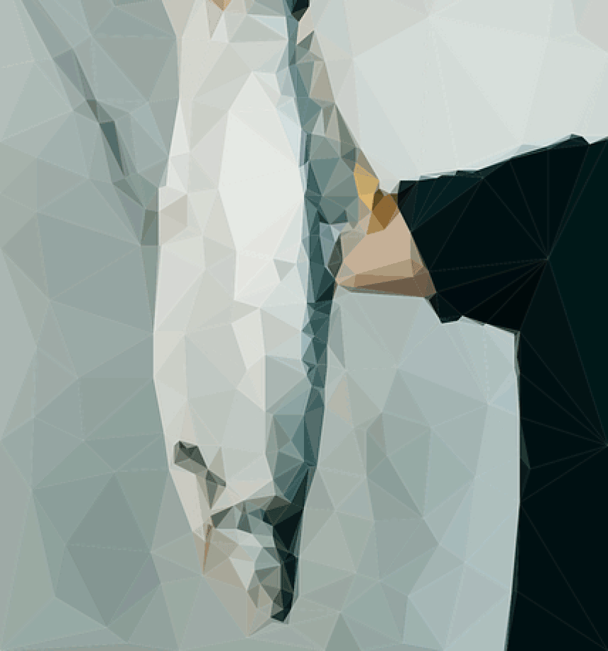 Man fined for not retrieving gill net in time