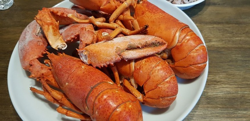 Crown seeks jail for repeat offender of lobster fishing laws
