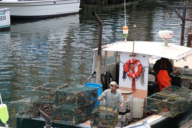 CRA employed to collect lobster fines