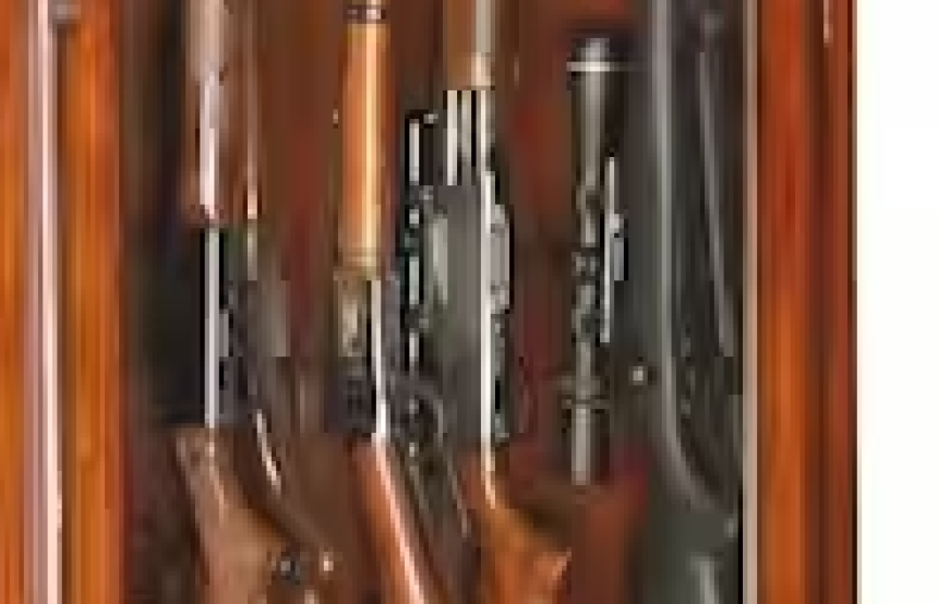 RCMP applies to seize guns from Priceville man