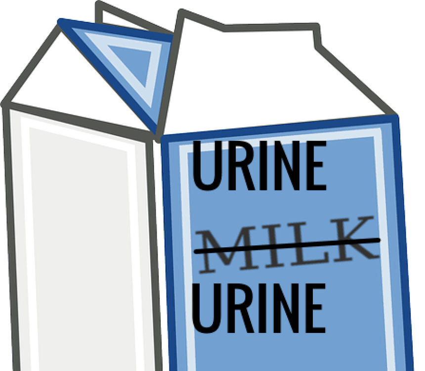 Youth throws urine on jail guards