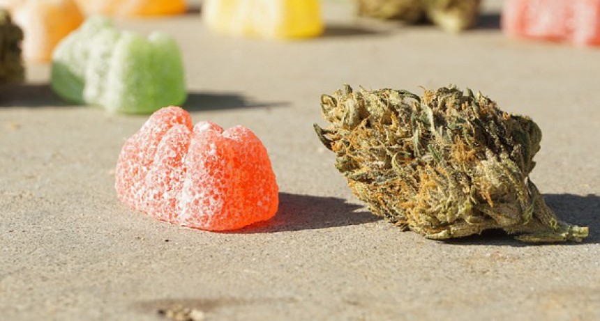 Brothers 15 and 16 go on crime spree