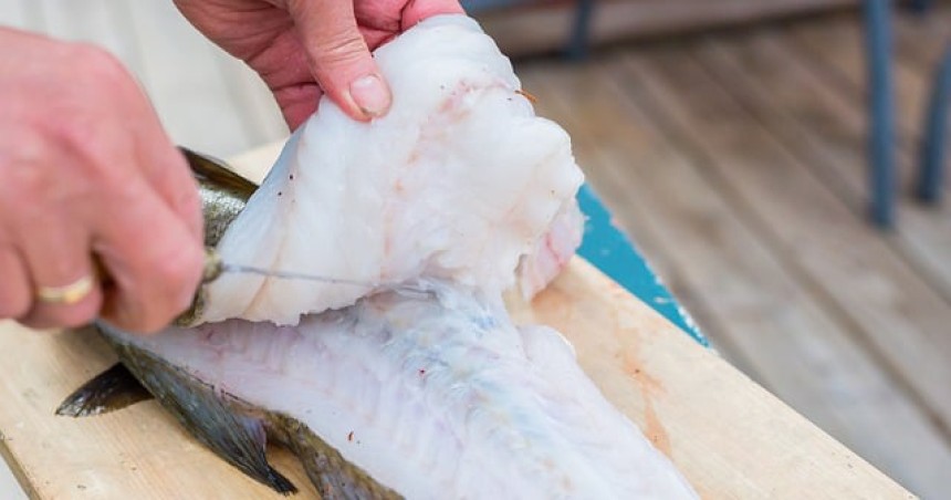 Is everyone breaking this Bass law?