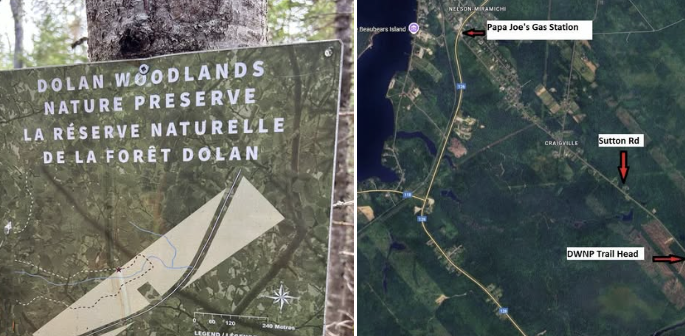 Oct 6:  Nature walk, Dolan Woodlands