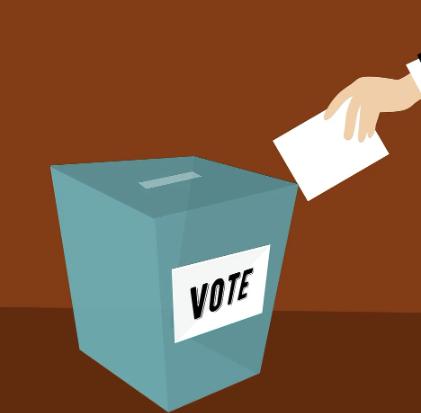 24 Candidates:  Voting Strategies