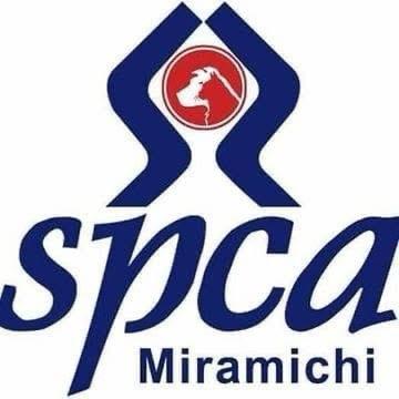 Miramichi SPCA calls for urgent cat food donations