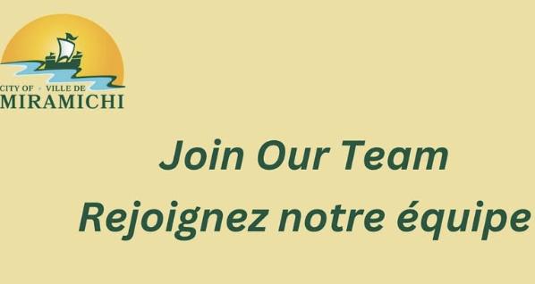 City Hiring IT and HR Manager