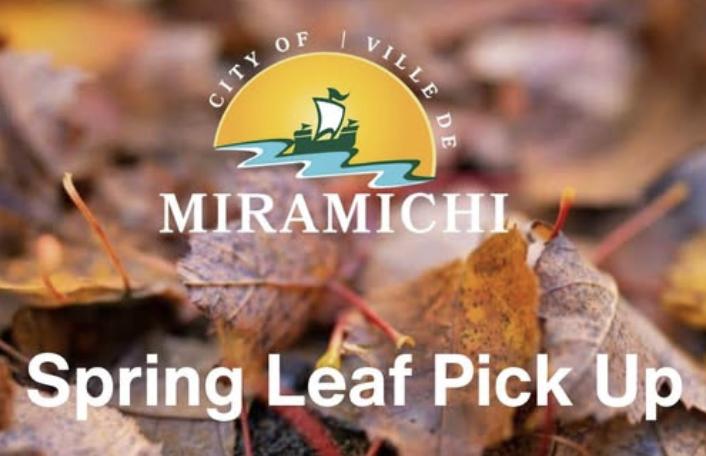 City announces leaf pickup dates