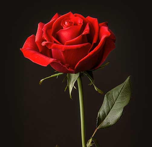 Margaret “Emily” (Underhill) Somers