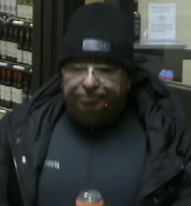 Police seek IDs of theft suspects