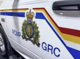 Rogersville man pleads guilty to shotgun blast in apartment