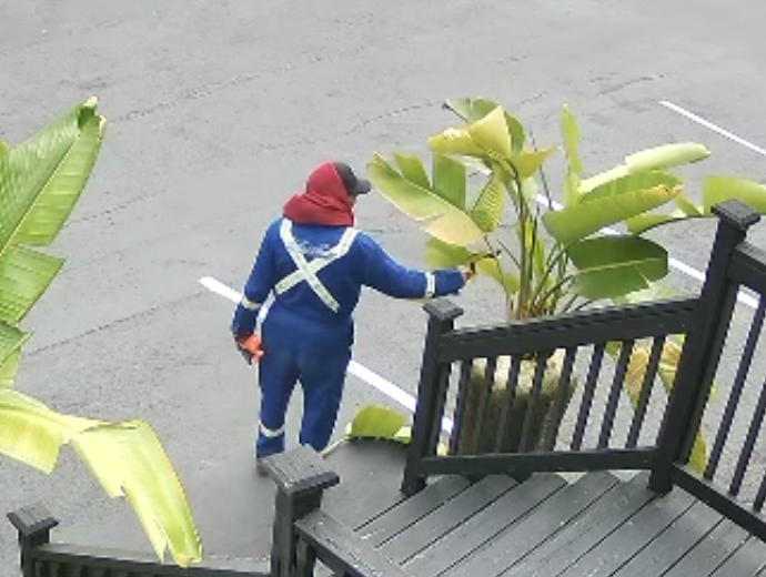 Video:  Poisson for damaging business property