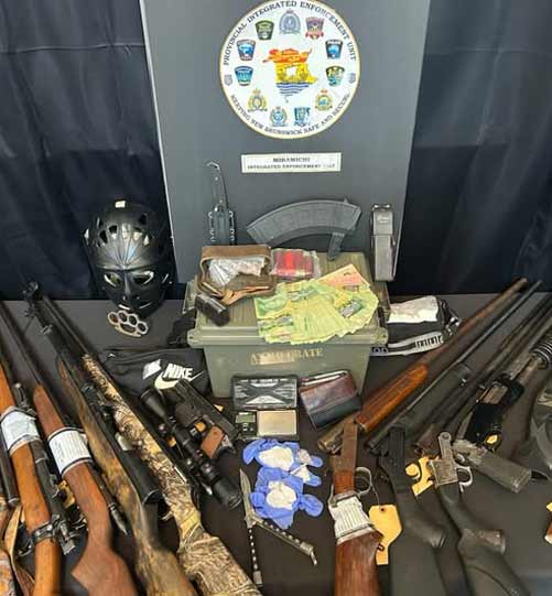 Drugs and guns:  Crown seeks 3.5 years for Felicity Walsh