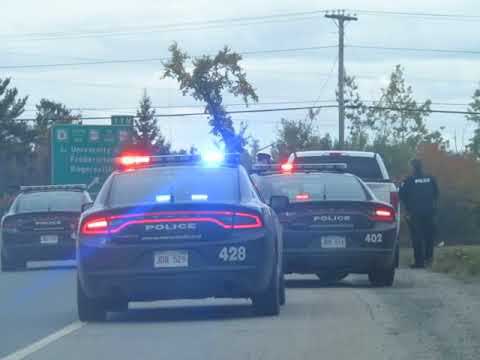 6 Court Briefs:  Martin breaks into hotel and steals TV