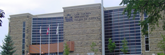 16 Court Briefs:  various cases from plea court