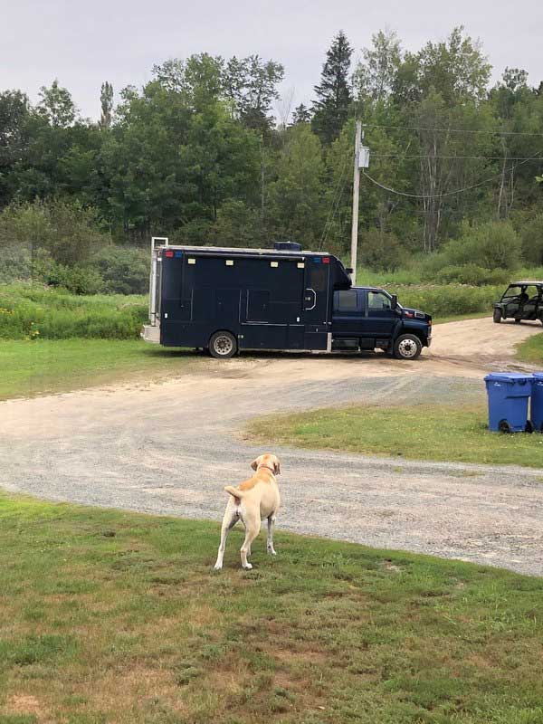 5 Court Briefs:  bomb threat sentencing, police search near river in Sunny Corner