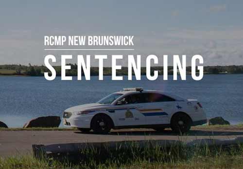 18 y/o Blackville man jailed for injuring RCMP officer, others