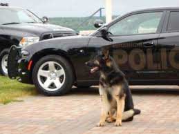 Police Briefs and court updates