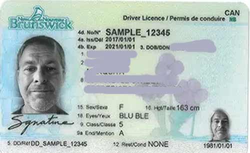 Repeat offender gets 4 months in jail plus heavy fines