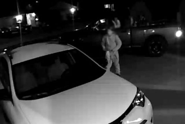 Thefts and prowlers in two neighbourhoods