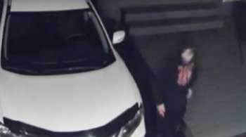 VIDEO:  help catch a prowler