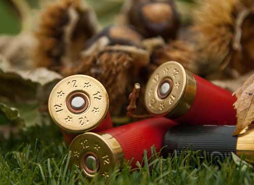 Man sentenced, breaches gun prohibition within a year