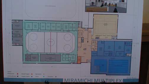 Multiplex part 1 of 2:  Council agrees to seek funding