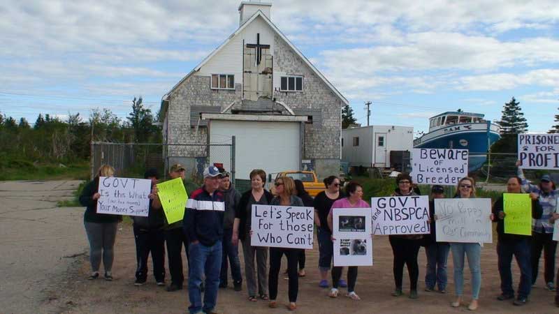 10 Court Briefs:  charges laid over Escuminac puppy mill