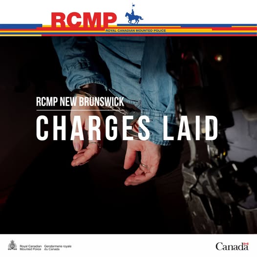 RCMP announce arrests of several people in Tracadie area